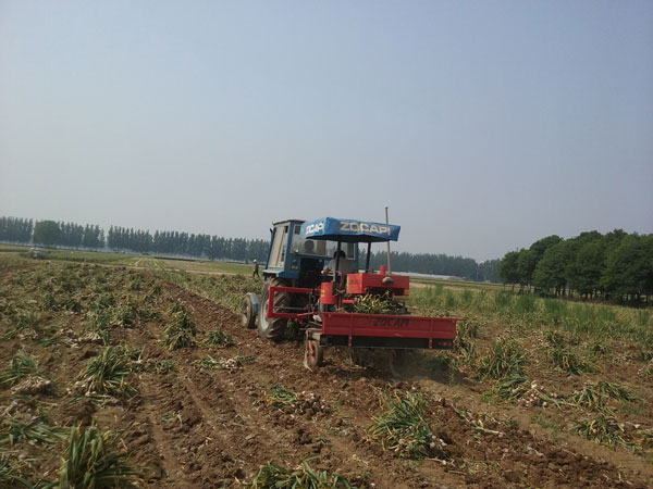 仙人掌app下载官网入口收获机