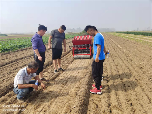 仙人掌app下载官网入口种植